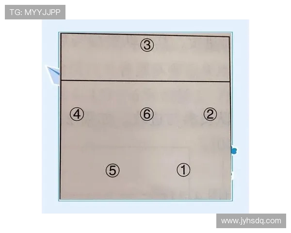 成都与深圳排球队对决后的战术分析与节奏探讨