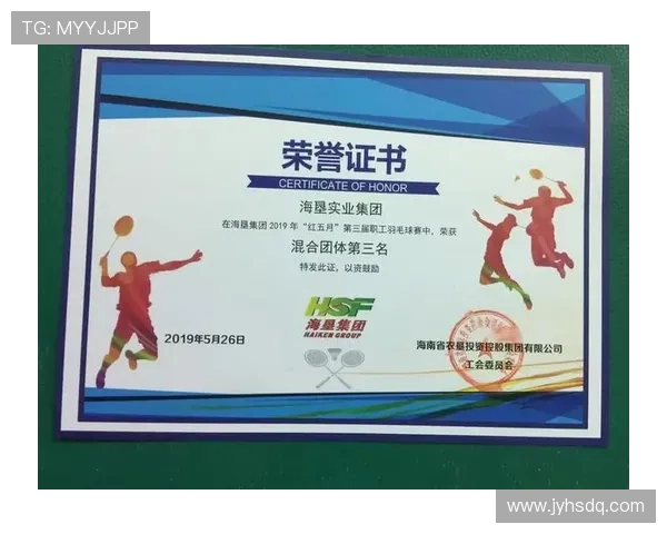深圳羽毛球队团队协作引发热议争议背后的深层原因与影响分析